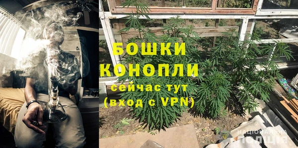 крисы Магадан