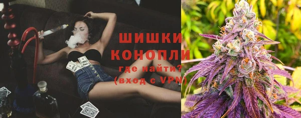 крисы Магадан