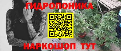 стаф Кунгур